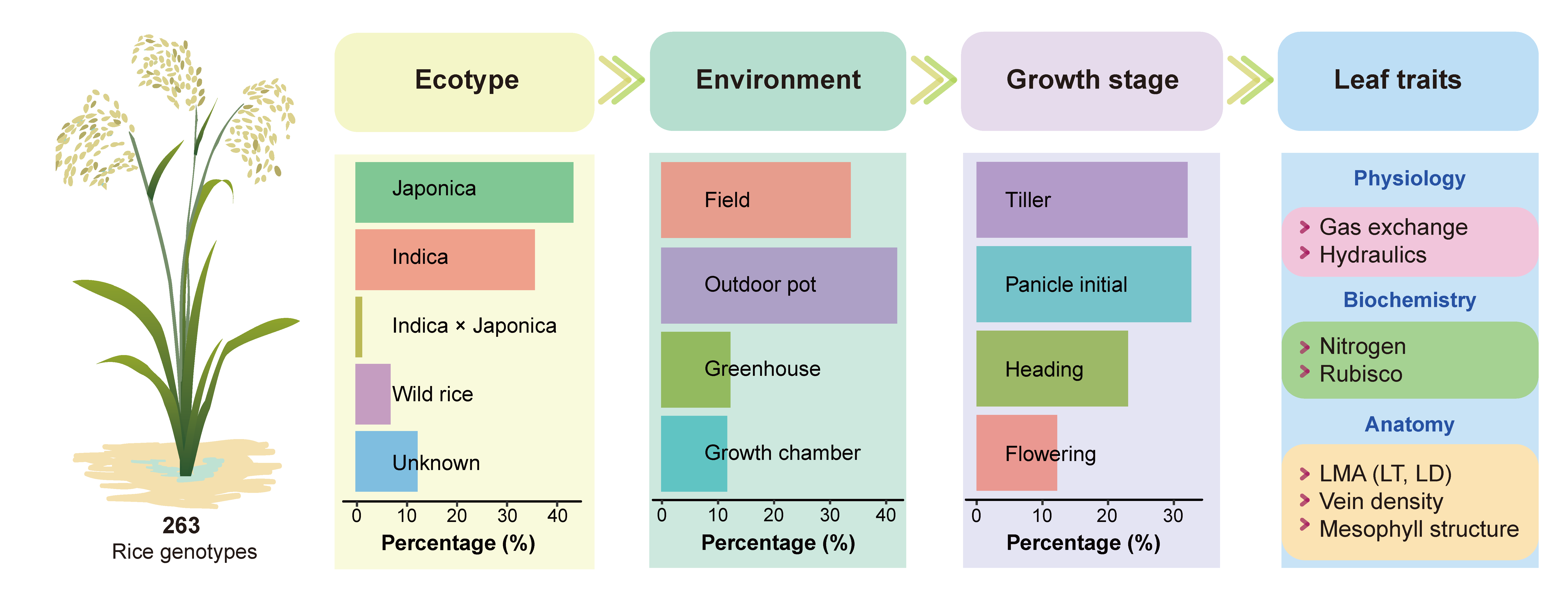 NEW paper out rice leaf economics spectrum Dongliang Xiong 熊栋梁